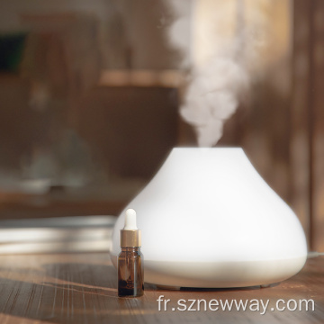 Diffuseur d&#39;air rechargeable de l&#39;humidificateur à ultrasons SOLOVE H7